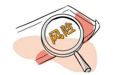 風(fēng)險評估及內(nèi)部控制