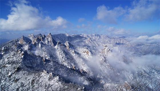 企業(yè)化學(xué)品安全標(biāo)簽管理規(guī)范