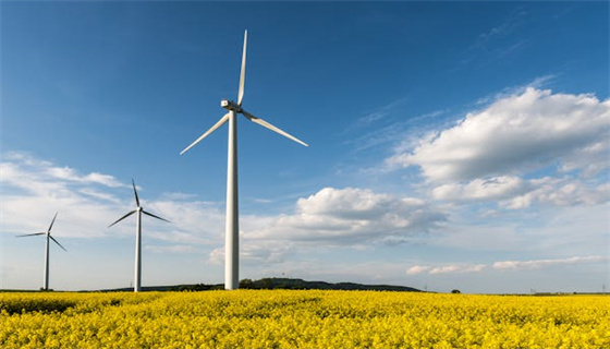 賽為安全 (43).jpg